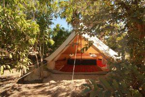 First hostel in Todos Santos, the place to enjoy the magic village