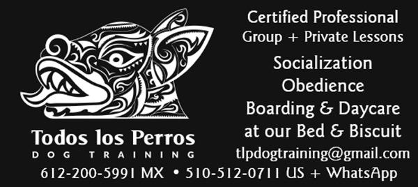 Todos los Perros Dog Training & Boarding - Todos Santos, Baja California Sur, México