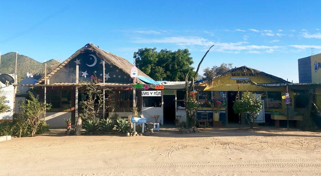 Uvas y Hojas - Librería y vinoteca