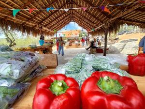 El Mercado Ranchero - Orgánicos y Productos Artesanales - Todos Santos, Baja California Sur, México