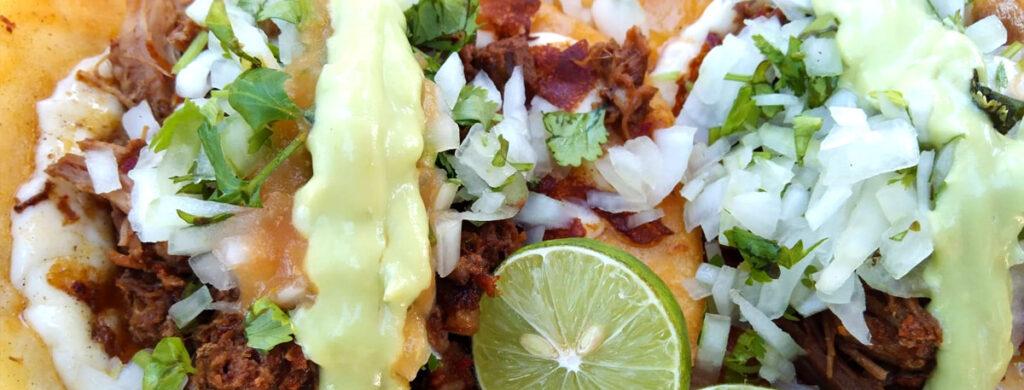 Birrieria El Zain Salgado - Todos Santos, Baja California Sur, México