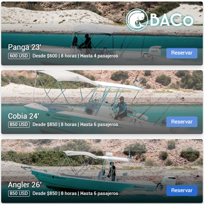 BACO Adventures / Adventures in the Gulf of California 🇲🇽 / Private charters / Day & Multiday