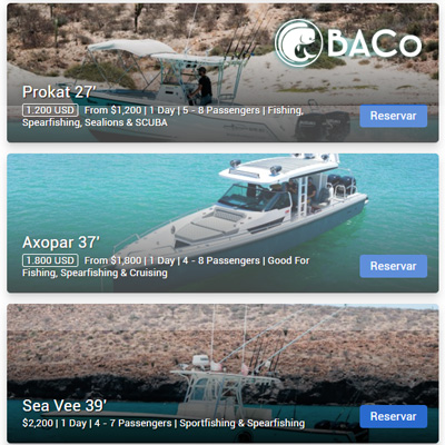 BACO Adventures / Adventures in the Gulf of California 🇲🇽 / Private charters / Day & Multiday