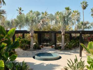 Botánica Spa - El Pescadero, Baja California Sur, México.