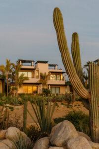 Kimpton Mas Olas Resort & Spa - El Pescadero, Baja California Sur, México