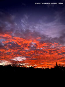 Base Camp Baja Sur / 3 Minute walk to playa La Pastora / Todos Santos, Baja California Sur, México.