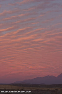Base Camp Baja Sur / 3 Minute walk to playa La Pastora / Todos Santos, Baja California Sur, México.