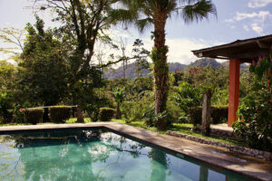 Zayana / Visual storytelling and content creation studio