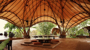 Zayana / Visual storytelling and content creation studio